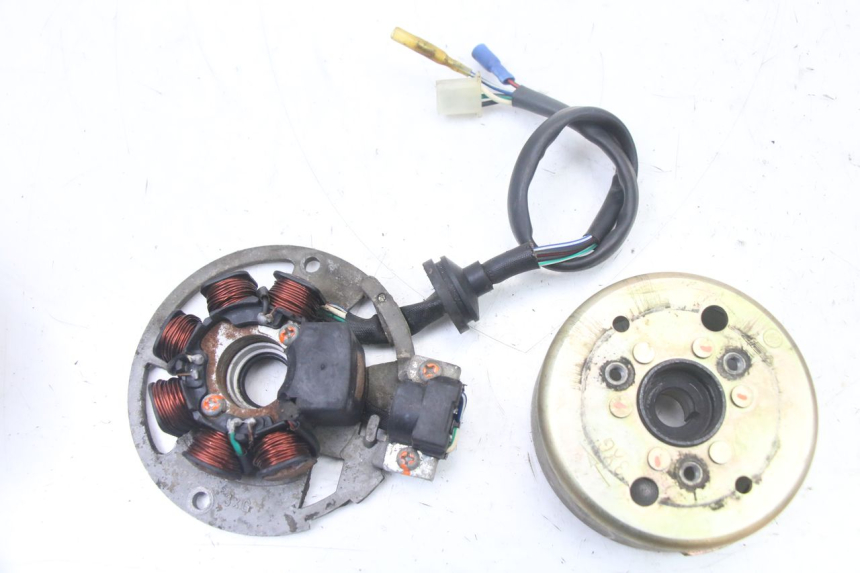 photo de LICHTMASCHINE TNT MOTOR ROMA 10' 2T 50 (2011 - 2018)