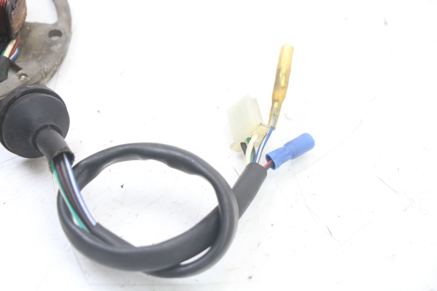 photo de LICHTMASCHINE TNT MOTOR ROMA 10' 2T 50 (2011 - 2018)