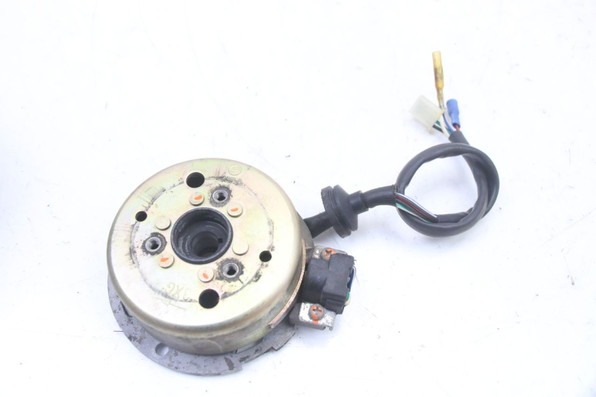 photo de LICHTMASCHINE TNT MOTOR ROMA 10' 2T 50 (2011 - 2018)