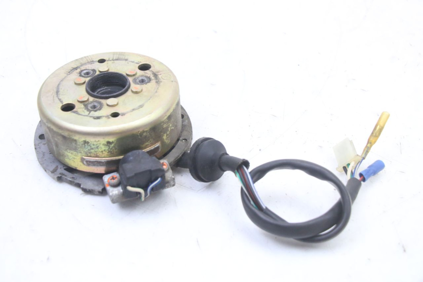 photo de LICHTMASCHINE TNT MOTOR ROMA 10' 2T 50 (2011 - 2018)