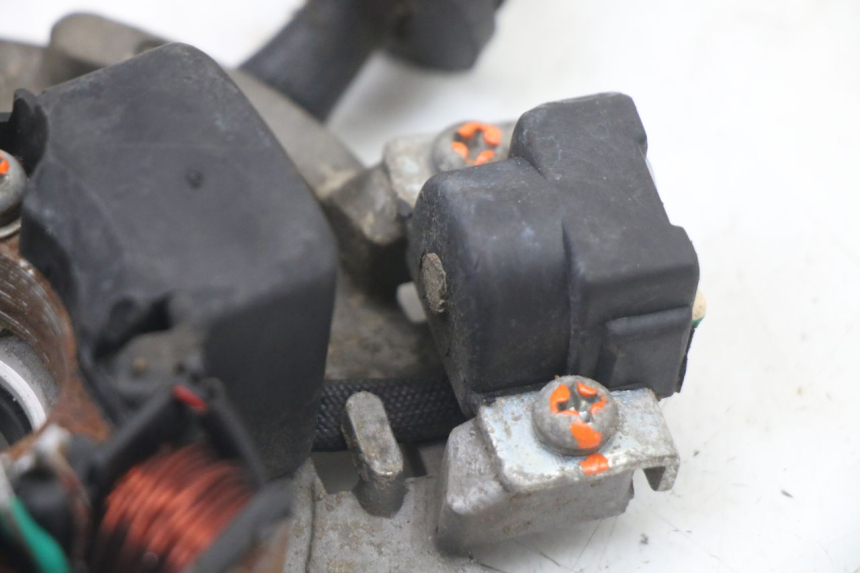 photo de LICHTMASCHINE TNT MOTOR ROMA 10' 2T 50 (2011 - 2018)