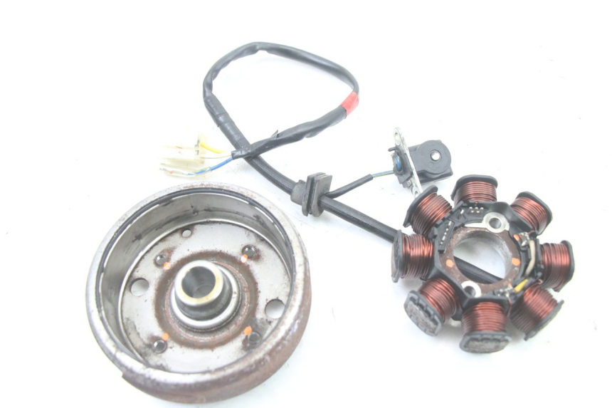 photo de LICHTMASCHINE PEUGEOT TWEET 4T 50 (2018 - 2020)