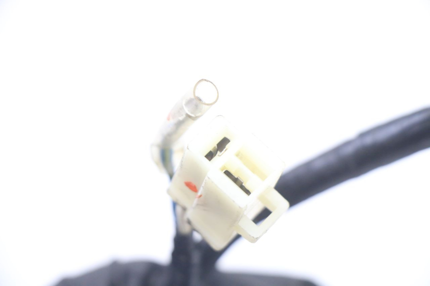 photo de LICHTMASCHINE PEUGEOT TWEET 4T 50 (2018 - 2020)