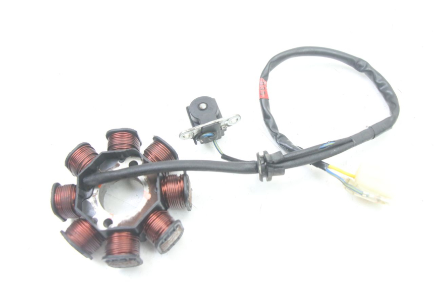 photo de LICHTMASCHINE PEUGEOT TWEET 4T 50 (2018 - 2020)