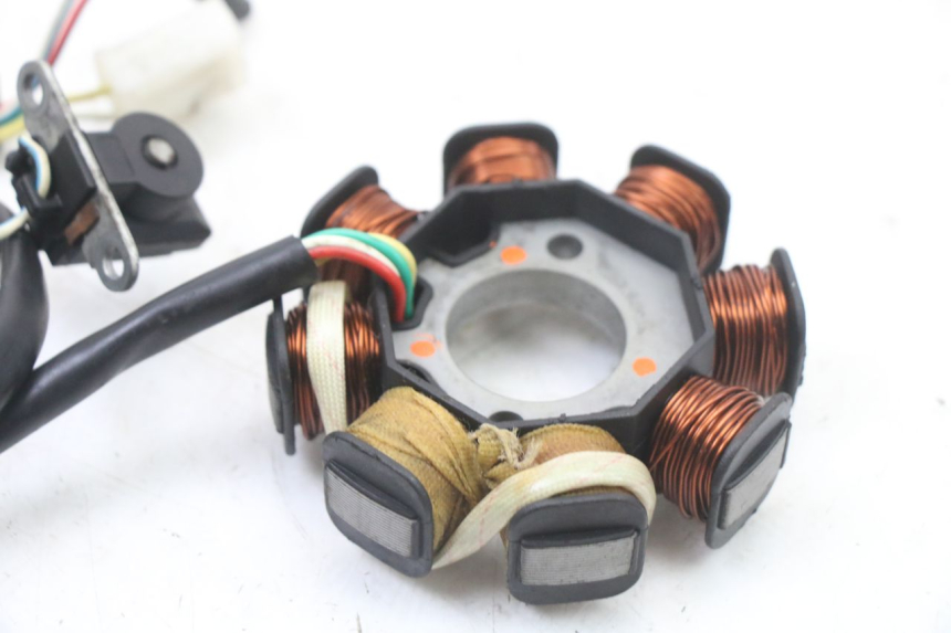 photo de LICHTMASCHINE UNIVERSAL BIKE ZN50QT-11B 50 (2018 - 2021)