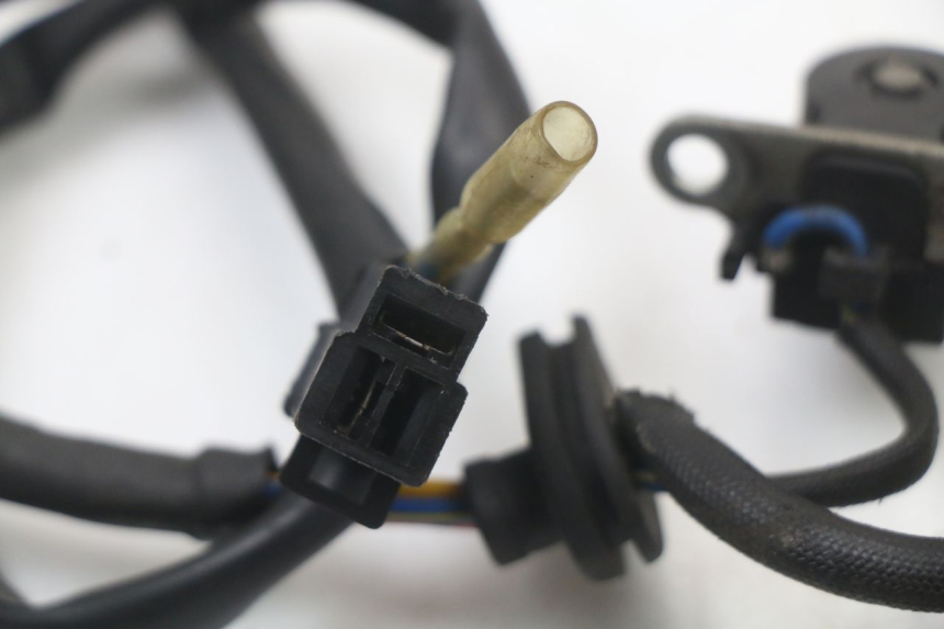 photo de Rotor Stator BEELINE VELOCE 4T 50 (2011 - 2020)