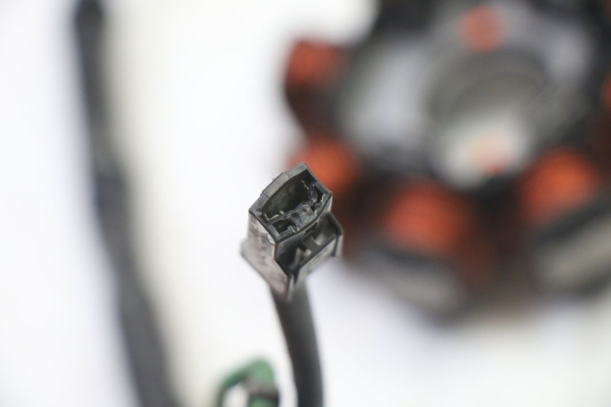 photo de LICHTMASCHINE HONDA X8R 50 (1998 - 2003)