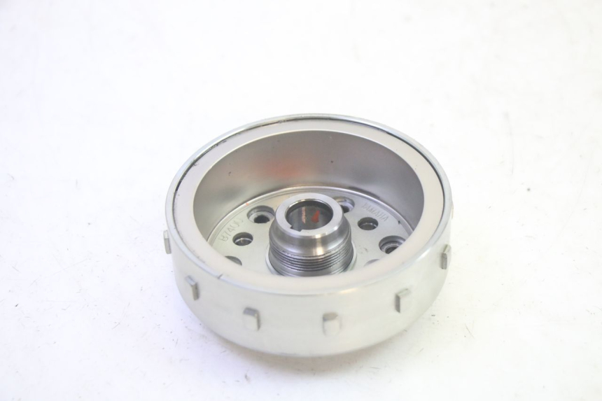 photo de LÄUFER  YAMAHA TRICITY 300 (2020 - 2024) - Alternative Perspektive