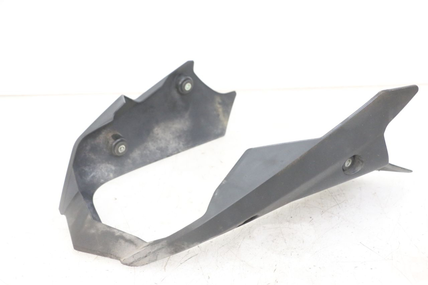 photo de BUGSPOILER YAMAHA XJ6 ABS 600 (2008 - 2016)