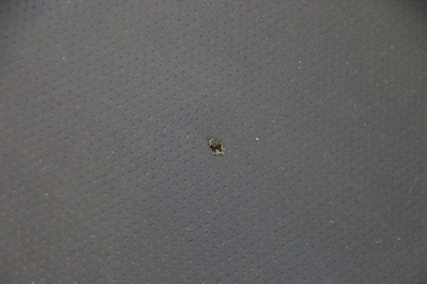 photo de SITZ STAHO FH 50 (2018 - 2019)