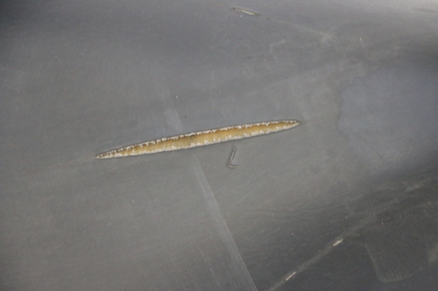 photo de SITZ PIAGGIO LIBERTY 125 (1998 - 2008)