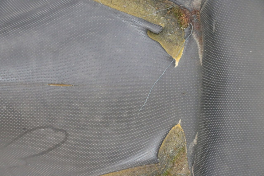 photo de SITZ YAMAHA X-CITY XCITY 125 (2007 - 2008)