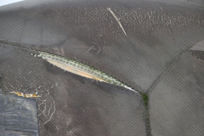 photo de SITZBANK YAMAHA X-MAX XMAX 250 (2006 - 2009)