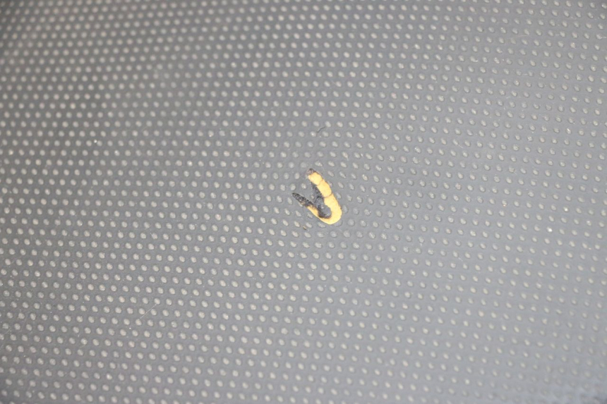 photo de SITZBANK YAMAHA XMAX X-MAX 125 (2006 - 2009) - Detaillierte Sichtprüfung