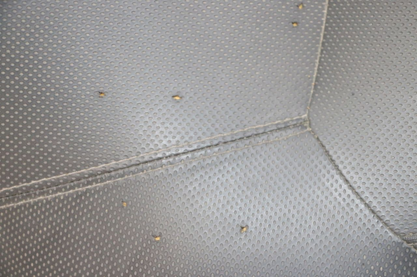 photo de SITZBANK YAMAHA XMAX X-MAX 125 (2006 - 2009) - Geprüftes Gebrauchtteil