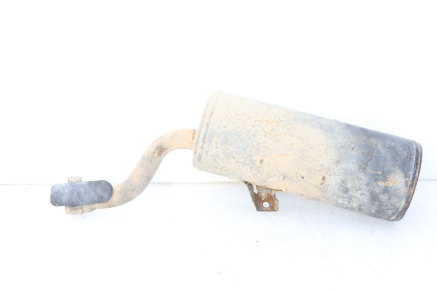 photo de SCHALLDÄMPFER YAMAHA YFM R RAPTOR 250 (2008 - 2014)