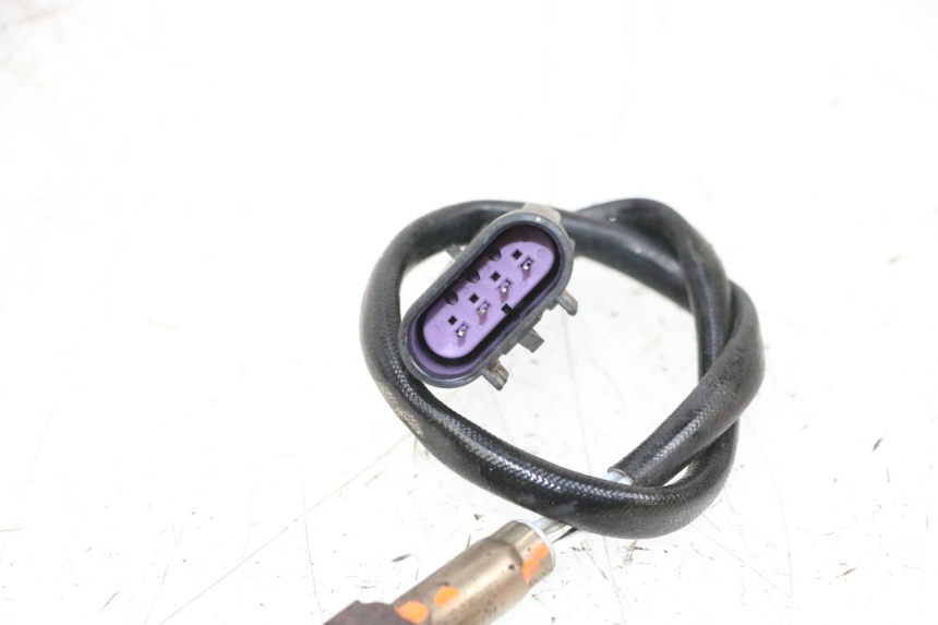 photo de LAMBDASONDE  NECO TEMPO 4T 50 (2022 - 2026) - Alternative Perspektive