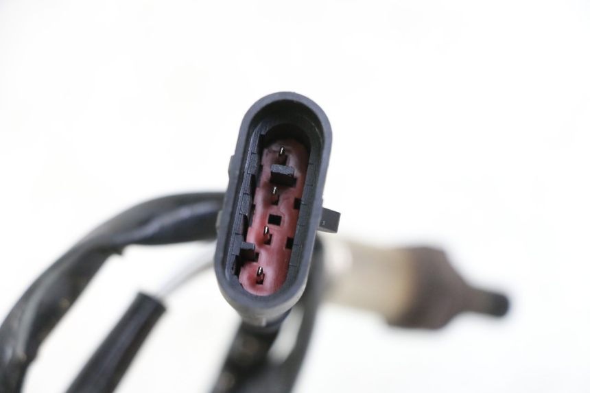 photo de LAMBDASONDE  TNT MOTOR BOSTON 4T 50 (2018 - 2025)