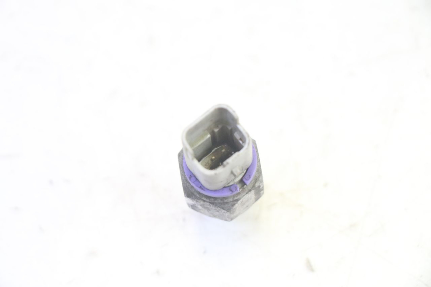 photo de ÖLDRUCKBREMSFLüSSIGKEITSSENSOR PIAGGIO MP3 RL 250 (2006 - 2010) - Technische Nahaufnahme