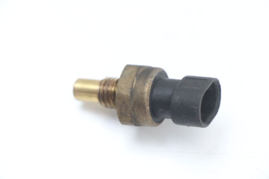 photo de WASSERTEMPERATUR SENSOR LONGJIA EASY MAX 125 (2020 - 2024)