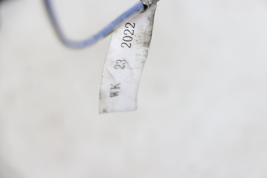 photo de SONDE TNT MOTOR BOSTON 4T 50 (2018 - 2025)