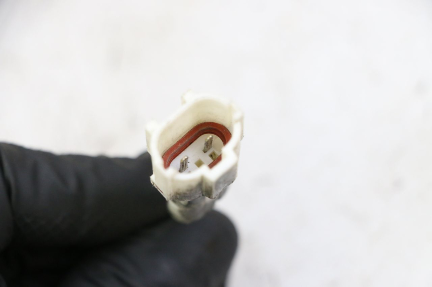 photo de SONDE TNT MOTOR BOSTON 4T 50 (2018 - 2025)