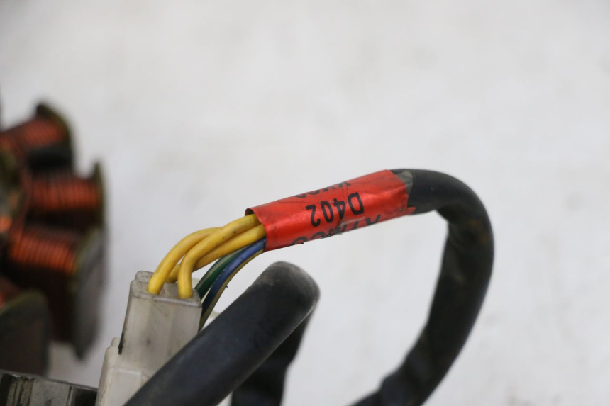 photo de LICHTMASCHINE KYMCO GRAND DINK 125 (2008 - 2014)