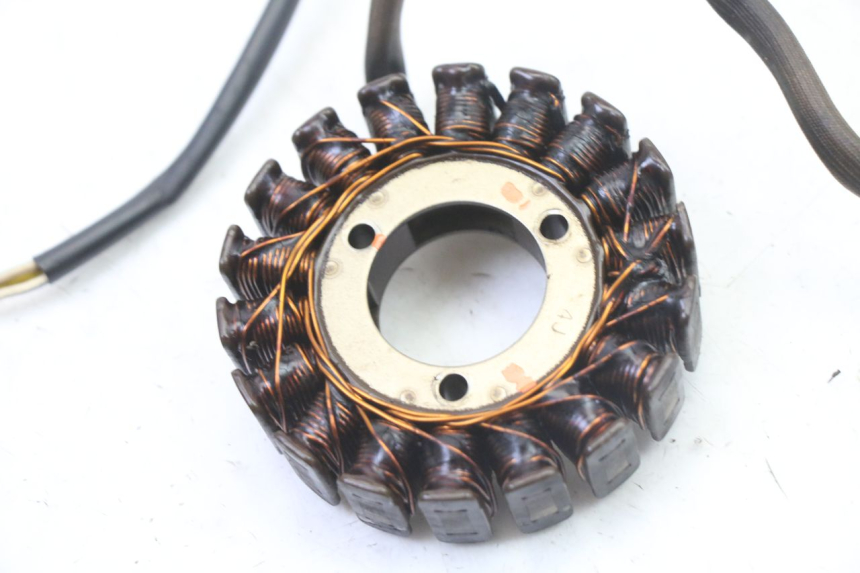 photo de LICHTMASCHINE SUZUKI GS GSE 500 (2001 - 2003)