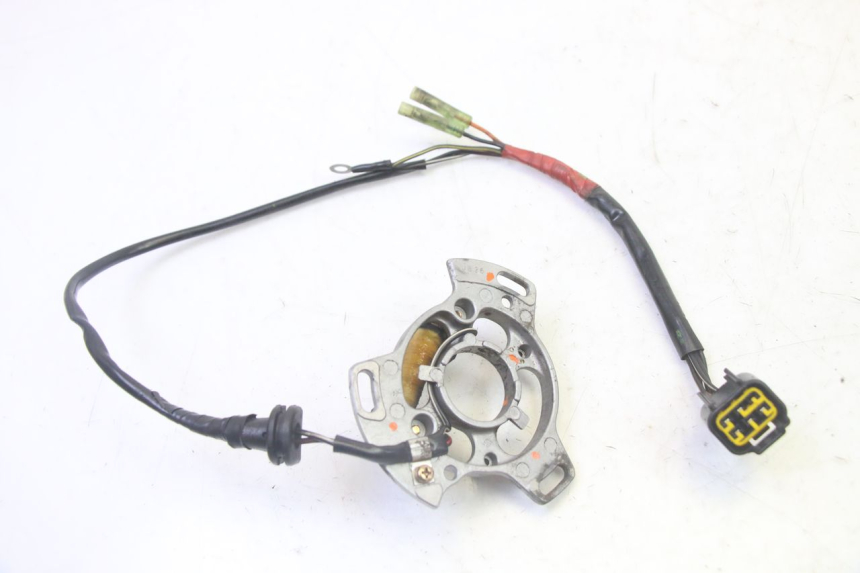 photo de LICHTMASCHINE KAWASAKI KX 65 (2000 - 2019)