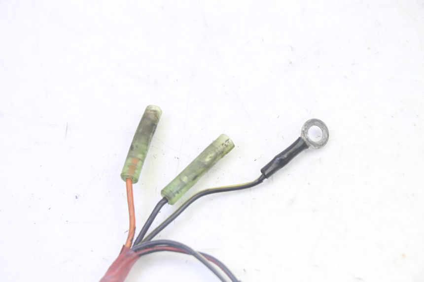 photo de LICHTMASCHINE KAWASAKI KX 65 (2000 - 2019)