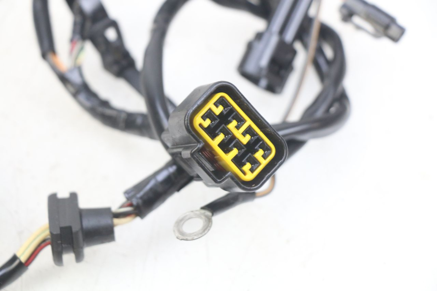 photo de LICHTMASCHINE KAWASAKI KX 85 (2014 - 2021)