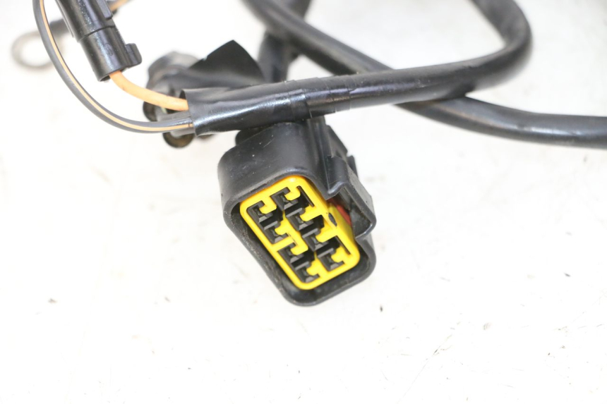 photo de LICHTMASCHINE KAWASAKI KX 85 (2014 - 2021)