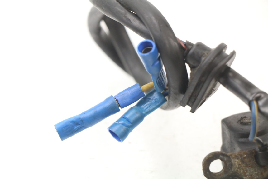 photo de LICHTMASCHINE PEUGEOT LUDIX BLASTER 50 (2006 - 2014)