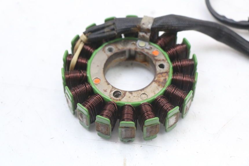 photo de STATOR REGAL RAPTOR RAXTER 2 125 (2007 - 2015)