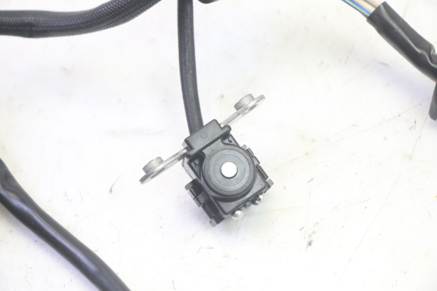 photo de LICHTMASCHINE YAMAHA TDM ABS 900 (2002 - 2014) - Technische Nahaufnahme