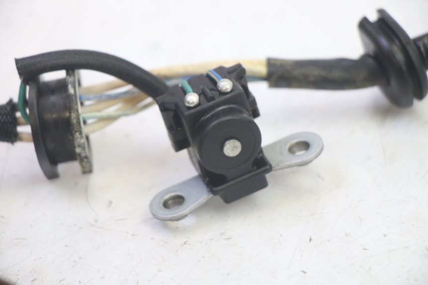 photo de LICHTMASCHINE YAMAHA TDM ABS 900 (2002 - 2014) - Alternative Perspektive