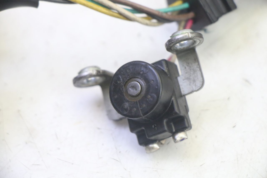 photo de LICHTMASCHINE YAMAHA TTR 125 (2000 - 2020) - Alternative Perspektive