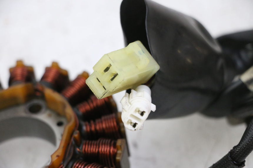 photo de LICHTMASCHINE YAMAHA X-MAX XMAX 250 (2006 - 2009)