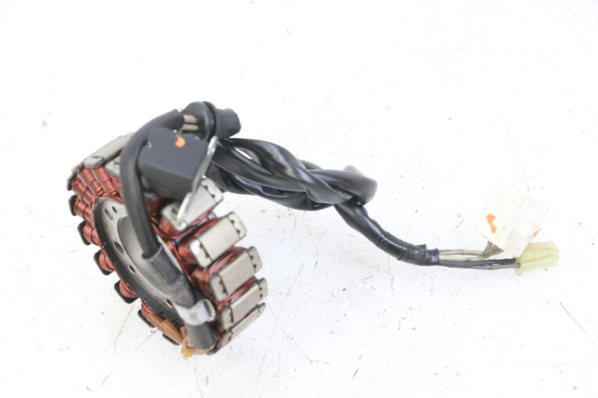 photo de LICHTMASCHINE YAMAHA FZS FAZER 600 (2001 - 2003)