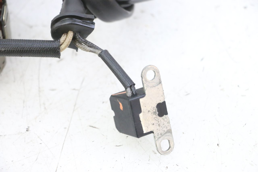 photo de LICHTMASCHINE YAMAHA FZS FAZER 600 (2001 - 2003)