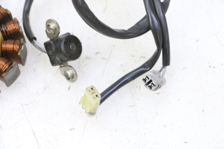 photo de LICHTMASCHINE YAMAHA YZ-F YZF 250 (2014 - 2018)