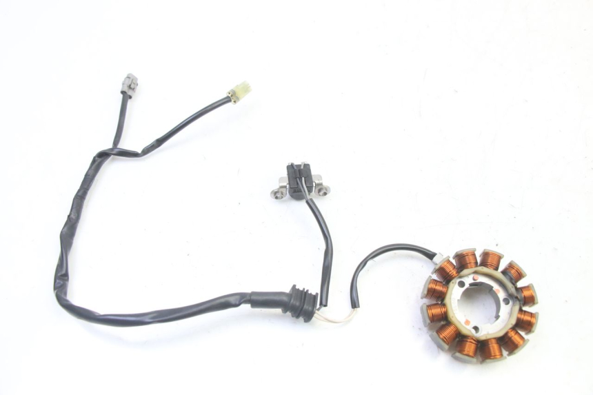 photo de LICHTMASCHINE YAMAHA YZF YZ-F 450 (2014 - 2016)