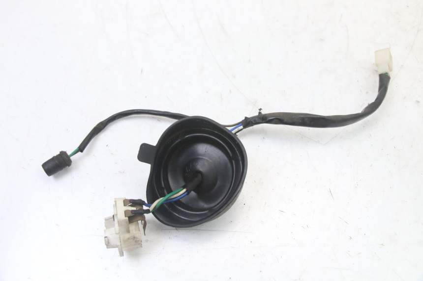 photo de LAMPENFASSUNG TNT MOTOR ROMA 10' 2T 50 (2011 - 2018)