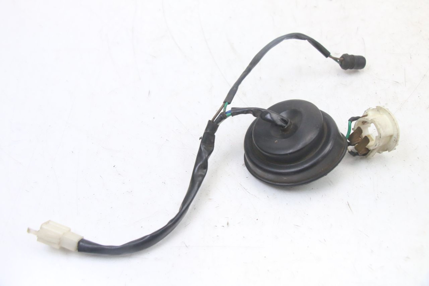 photo de LAMPENFASSUNG TNT MOTOR ROMA 10' 2T 50 (2011 - 2018)