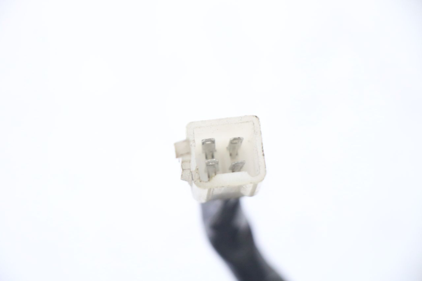 photo de LAMPENFASSUNG TNT MOTOR ROMA 10' 2T 50 (2011 - 2018)