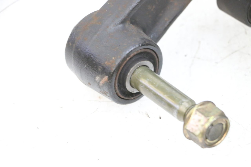 photo de MOTORHALTER ADIVA AD3 300 (2014 - 2020)