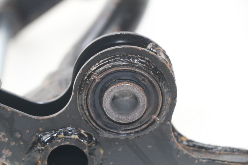 photo de MOTORHALTERUNG DAELIM S3 125 (2010 - 2017)