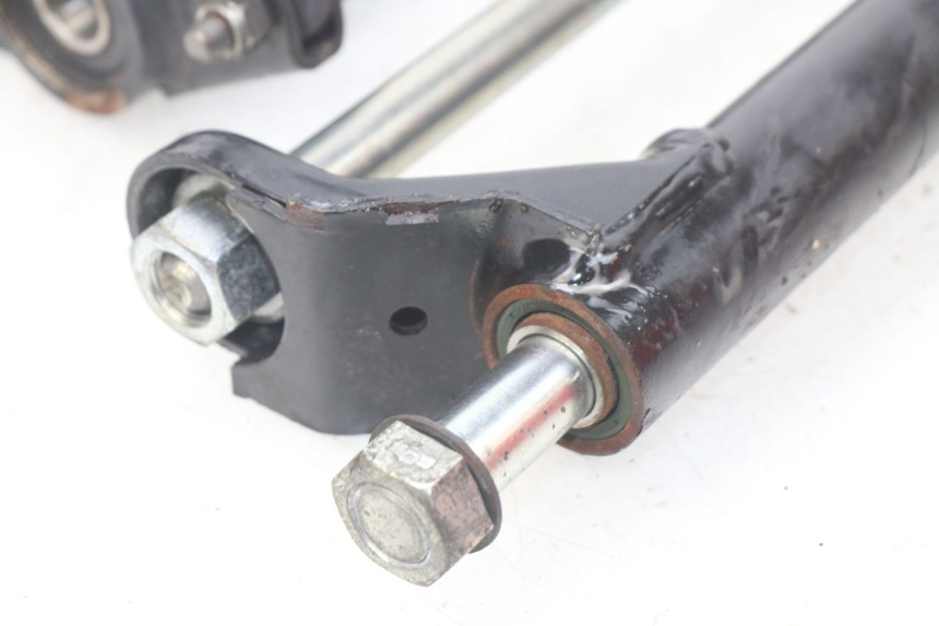 photo de MOTORHALTERUNG PEUGEOT GEOPOLIS 400 (2007 - 2013)