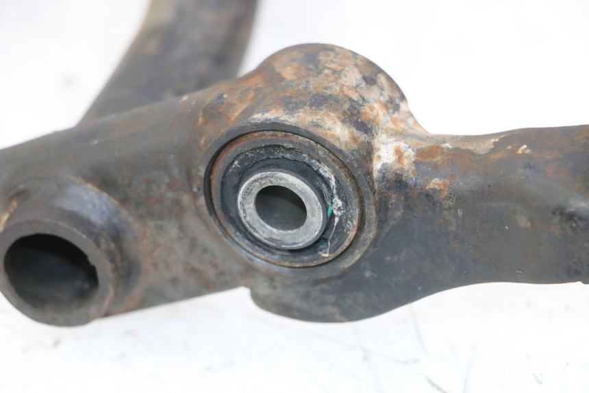 photo de MOTORHALTER PEUGEOT TWEET 4T 50 (2014 - 2019)