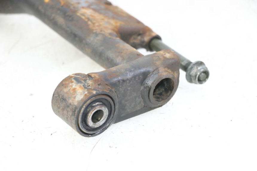 photo de MOTORHALTER PEUGEOT TWEET 4T 50 (2014 - 2019)